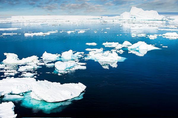 Theodore, George and Marilu 아티스트의 Antarctica-Lemaire Channel-floating ice작품입니다.